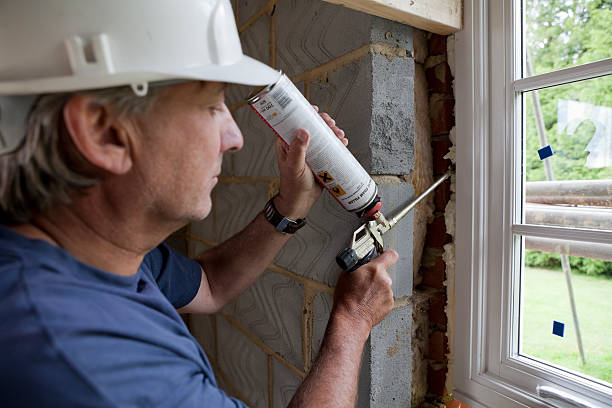 Best Energy-efficient Insulation  in Circle D Kc Estates, TX