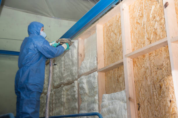 Best Attic Insulation Installation  in Circle D Kc Estates, TX