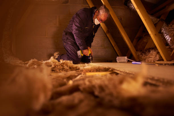 Best Insulation Removal  in Circle D Kc Estates, TX